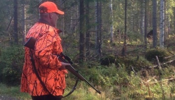 В Финляндии начался сезон лосиной охоты