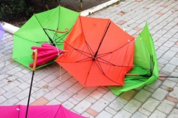 На Херсонщине объявили денежное вознаграждение за информацию о вандалах, разрушивших Аллею с зонтами