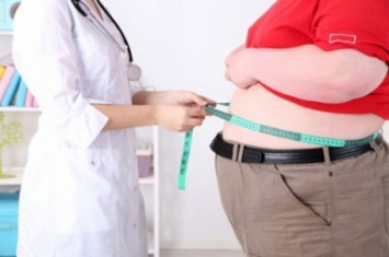 Ученые: Кишечные бактерии являются причиной ожирения