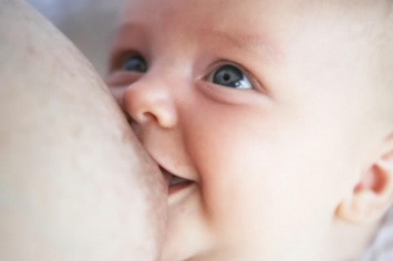 Материнское молоко закладывает основы иммунной системы ребенка