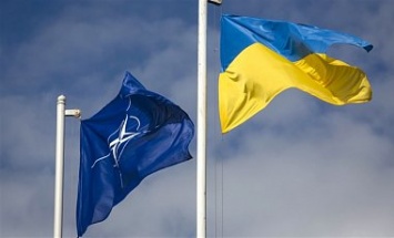 Центр Разумкова: 44,3% украинцев за вступление в НАТО