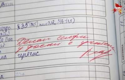 Смешные замечания в школьных дневниках "разрывают" Сеть (ФОТО)