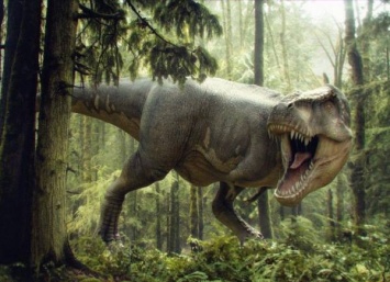 Тираннозавры обладали цветными "ирокезами" - ученые