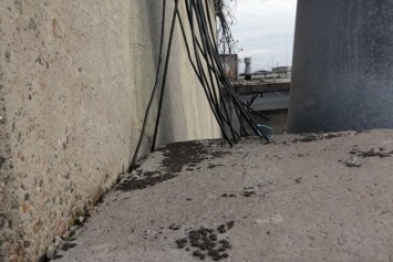В Мариуполе задержан кабельный вор (ФОТО)