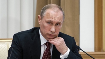 Путин проведет встречи с главой «Аэрофлота» и министром образования