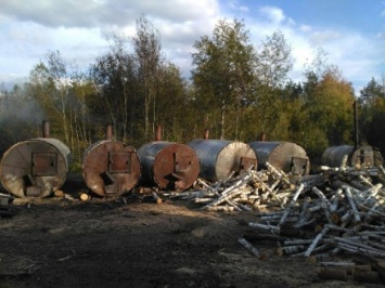 СБУ в Житомирской области прекратила незаконное производство древесного угля