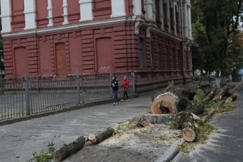 В Полтаве убрали опасные деревья (фото)
