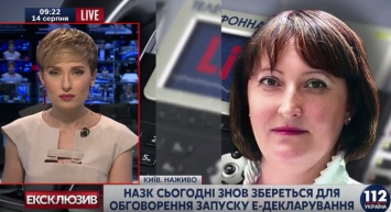 Корчак: В том, что е-декларации не подаются в нужном объеме виноват украинский менталитет