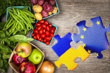 Украинские аграрии получат дополнительные квоты в ЕС на 195,95 млн долл. - Минагрополитики