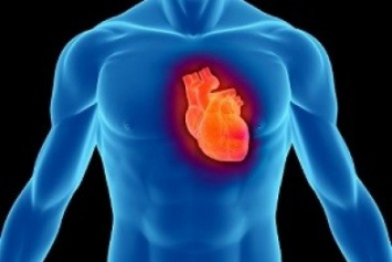 Как сохранить сердце здоровым: 5 важных советов
