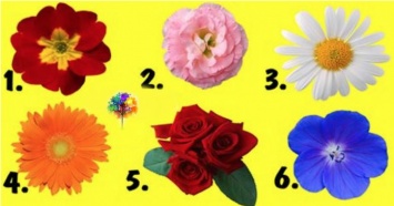 Выберите цветок и узнайте тайны вашей женственности!