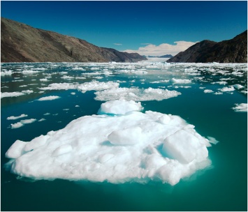 Что случится с человечеством, если таяние льдов будет продолжаться и дальше?