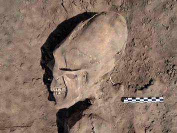 Археологи обнаружили черепа длинноголовых людей в Баксанском ущелье