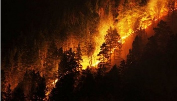 Лесной пожар в Калифорнии уничтожил десятки жилых домов