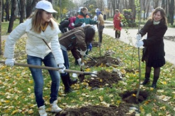 В Запорожье высадят деревьев и кустарников на 5 млн грн