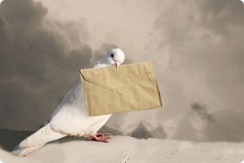 Премьер-министру Индии послали угрозу с почтовым голубем