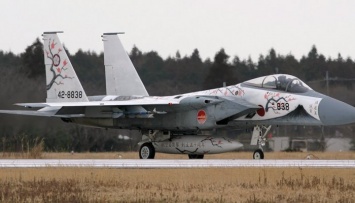 Истребитель японских ВВС вынужденно сел в гражданском аэропорту