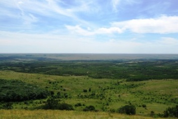 Часть лесов на Донбассе остается заминированной - экологи