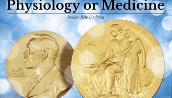 Нобелевскую премию по медицине получил японец Йошинори Осуми