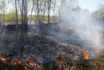 Больше 60 пожарных продолжают тушить торф на Полтавщине