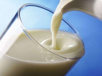 В Украине не разработаны требования к контролю антибиотиков в молочной продукции - эксперт