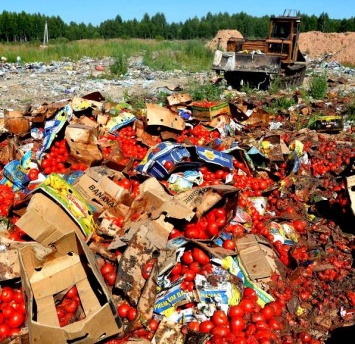 В России отчитались, что уничтожили 8 тыс. тонн санкционных продуктов с августа 2015 года