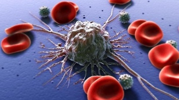 Ученые: Раковые клетки могут «обманывать» человеческий организм
