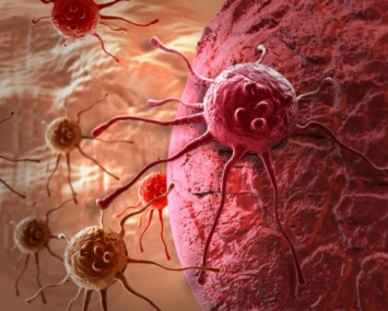 Ученые раскрыли секреты работы «плаща-невидимки» раковых клеток