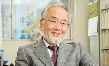 Нобелевская премия по медицине досталась биологу из Японии