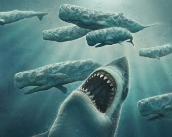 Ученые обнаружили останки таинственной доисторической акулы