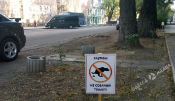 Одесские активисты приучают горожан убирать за собаками