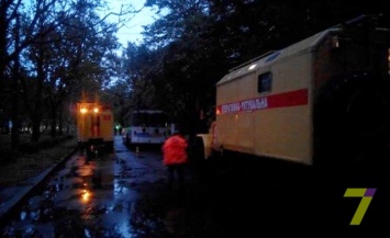 В Одессе дерево упало на проезжую часть