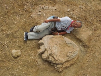 В пустыне Гоби нашли редкий отпечаток ноги титанозавра