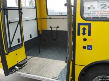 Водителя автобуса во Львовской области, который выгнал промокшего ребенка, уволят с работы