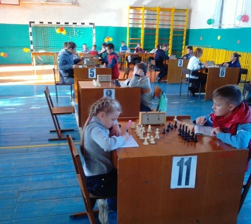 Бердянские шахматисты приняли участие в фестивале «Золотая осень»