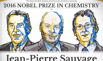 Нобелевскую премию по химии присудили за дизайн молекул