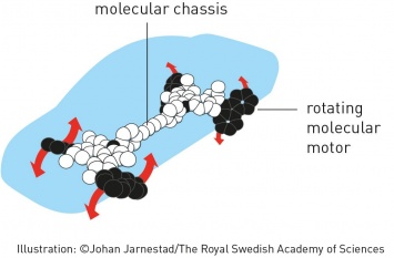 Нобелевскую премию по химии присудили за молекулярные машины