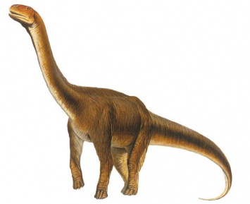 Назван самый крупный динозавр, обитавший на территории Средней Азии