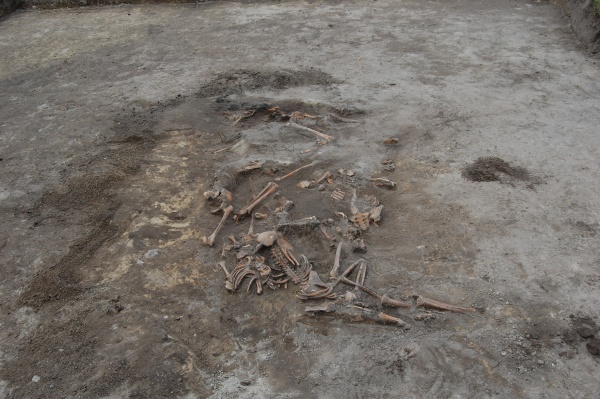 В Москве нашли 100-летний скелет