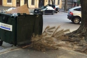 Одессит вынес елку за три месяца до Нового года (ФОТО)