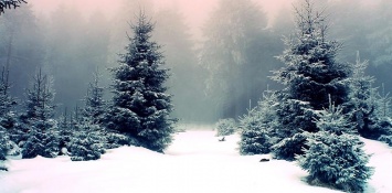 Какой будет зима: прогноз погоды на декабрь, январь и февраль