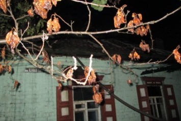 Пожар в Кременчуге: в преддверии зимы 87-летняя старушка осталась без веранды и крыши над головой (ФОТО)