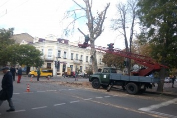 Полиция перекрыла улицу в центре Одессы