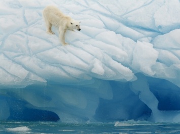 Ученые: останется ли Арктика без морских льдов