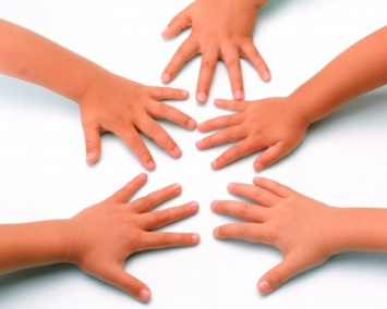 Ученые узнали, почему у человека по пять пальцев на каждой конечности