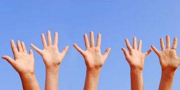 Ученые объяснили, почему у человека по пять пальцев на руках и ногах