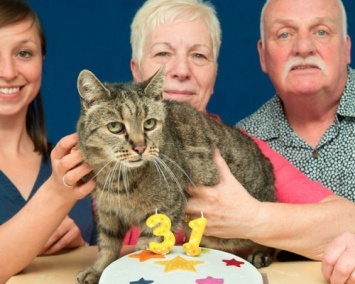 В Великобритании кот Мускатик может стать самым долгоживущим котом в мире