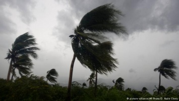 Число жертв урагана "Мэтью" на Гаити превысило 280 человек