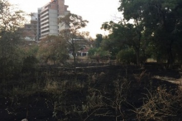 Хулиганы подожгли траву в одесском парке (ФОТО)