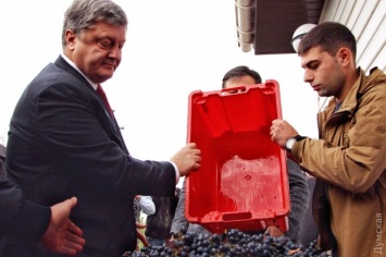 Порошенко помог фермеру выдавить виноград и подписал закон, отменяющий лицензионный сбор